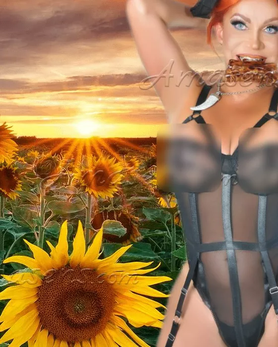 Trans a Pistoia - Trans a via dello zizzolo, montecatini-terme, pistoia, toscana