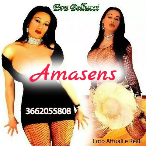escort.it - GIOIA TAURO EVA BELLUCCI UN NOME UNA GARAZIA BELLISSIMA BELLEZZA MEDITERRANEA RAGAZZA TRANSESSUALE ITALIANIA... NO ANONIMI