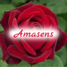 escort.it - Sono Roberta mi trovi a Frosinone domani in due a Terracina