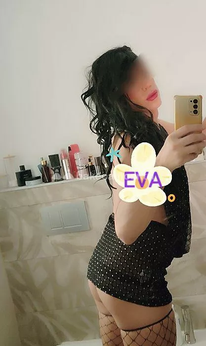 Trans a Varese - Foto 1 - trans a albizzate