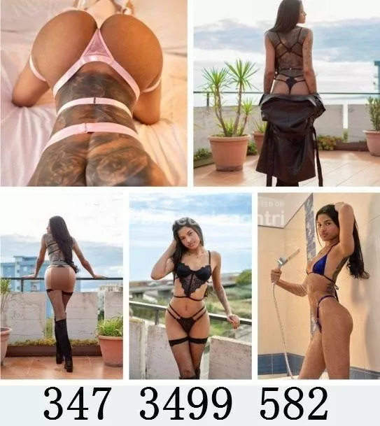 escort.it - Appena arrivata.🆕️💥💥🏅🏅SAFIRA LA RAFFINATA ...💯 🎖🎖giovane brasileira vera maialina -