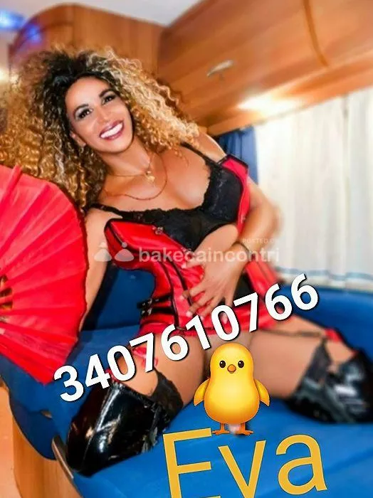 escort.it - Eva trans in camper fino alle 3
Quella dei principianti