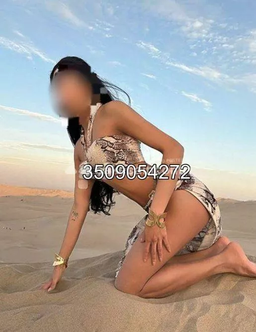 Trans a Pavia - Trans a vigevano