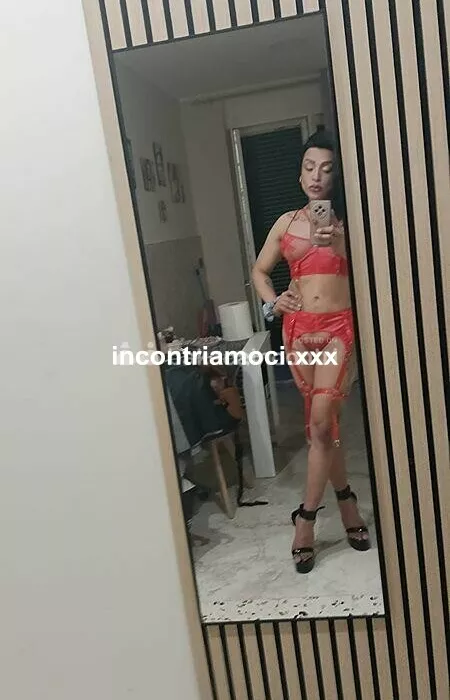 Trans a Messina - Trans a messina