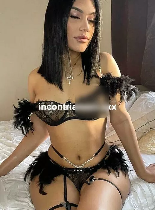 Trans a Ferrara - Foto 1 - trans a emilia-romagna