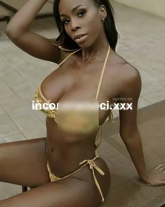 escort.it - CIAO GENTLEMAN MI CHIAMO LIDIA BELLISSIMA RAGAZZA BRASILIANA...

STANCO DELLE SOLITE FREGATURE CHE TI FANNO PERDERE TEMPO CHIAMA ME
AD APRIRE LA PO