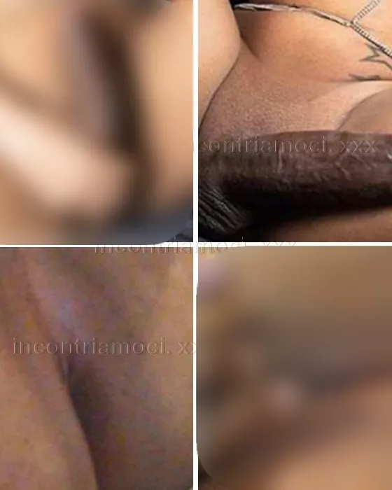 Trans a Foggia - Trans a corso giuseppe garibaldi, fg, italia, 71121,  puglia