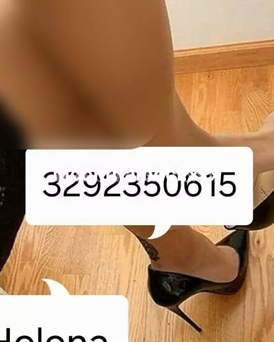 escort.it - GATEO MAREI❤️❤️SOLLO ITALIANO🤎CERCHI AMBIENTE ❤️RISERVATO,❤️PULITO❤️ COM MUSICA AMBIENTE❤️OGLIO DE MANDORLE❤️POI RESTO CE PENSO IO.SOLLO ITALIANI.❤️