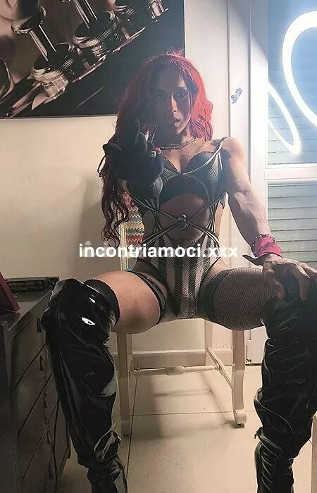 Trans a Ferrara - Trans a bologna