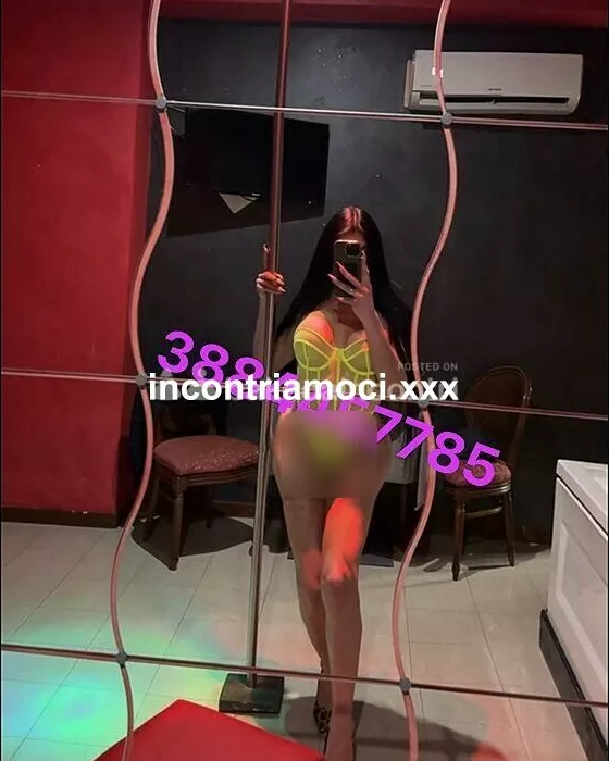 Trans a Caserta - Trans a campania