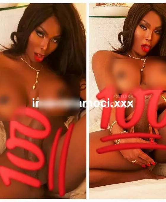 Trans a Foggia - Trans a puglia