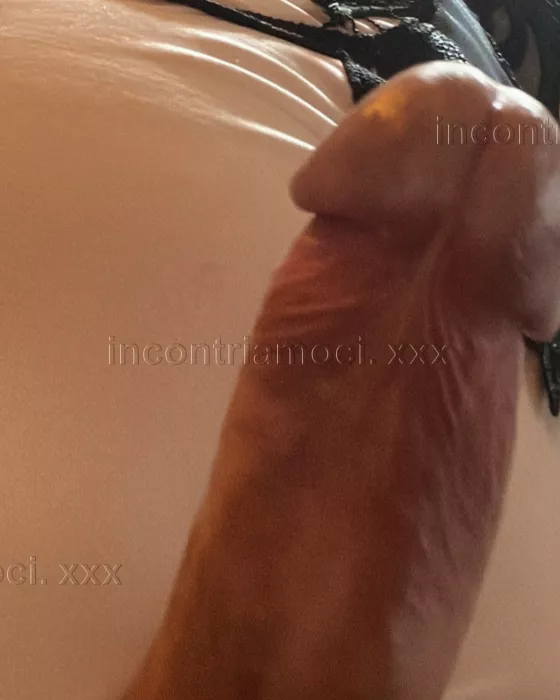 Trans a Latina - Foto 1 - trans a roma