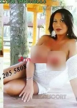 Trans a Catanzaro - Trans a via rupe