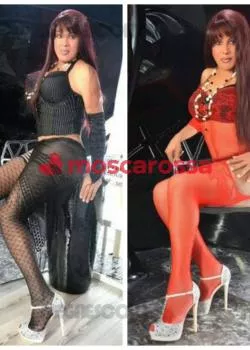 escort.it - Bisceglie Attenzione foto 100% . Trans Foto Reali 100% venezolana la PiÙ Ricercata Di Alto Livello