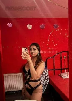 escort.it - Ciao Solo Raggiungo Casa Tua Hotel Motel B&b Car Sex Officio Appena Arrivata █▬█0▀█▀ Preliminari Da Infarto Foto & reale Bellissima