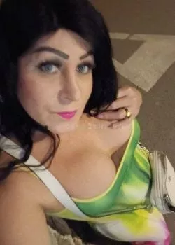 Trans a Trieste - Trans a centro