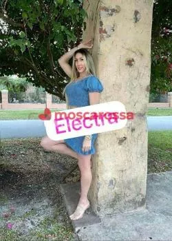 Trans a Oristano - Trans a oristano oristano