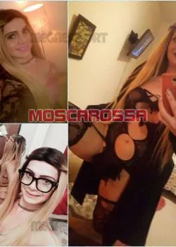 escort.it - Karol Trans