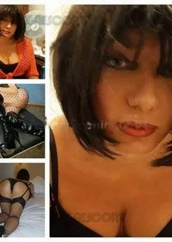 Trans a Rimini - Trans a misano adriatico