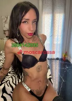 Trans a Milano - Trans a milano cologno monzese