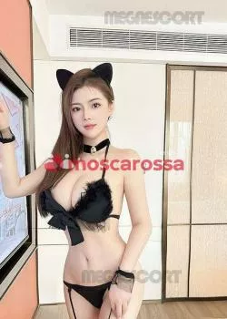 Trans a Trento - Foto 1 - trans a rovereto