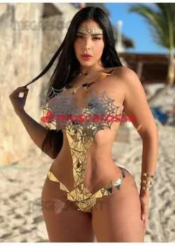 Trans a Viterbo - Foto 1 - trans a centro