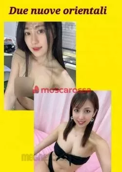 Donna a Cuneo - Escort a mondovi mondovi