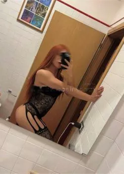 Trans a Novara - Foto 1 - trans a borgomanero borgomanero