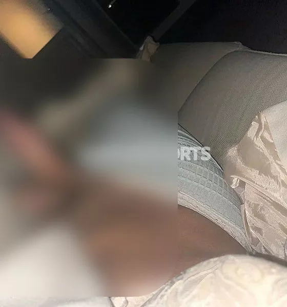 escort.it - 👯‍♀️TRANS KELLY MELO PIÙ BELLA E FEMMINILE IN ZONA DA POCHI GIORNI ATTIVA E PASSIVA PER RENDERE IL TUTTO LA BOCCA DI FUOCO PIÙ COMPLETA 🔥🐅🐅❤️‍🔥