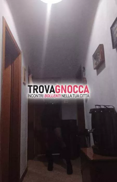 escort.it - 3272312629 - Parma: bella trans alexandra new new venezolana...