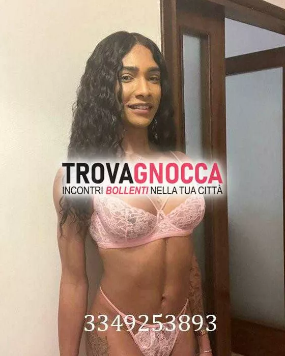 escort.it - 3349253893 - Belluno: 🎀 zara dior transessuale 🎀 👑novitÀ...