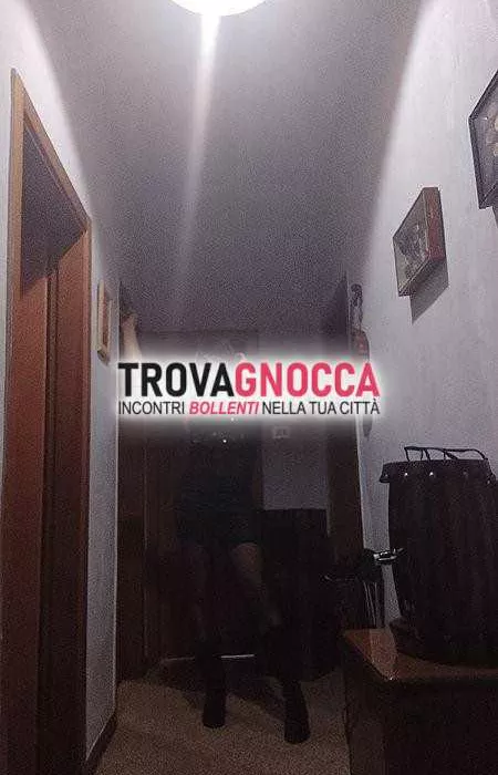 escort.it - 3383430141 - Parma: bella transessuale alexandra new new...