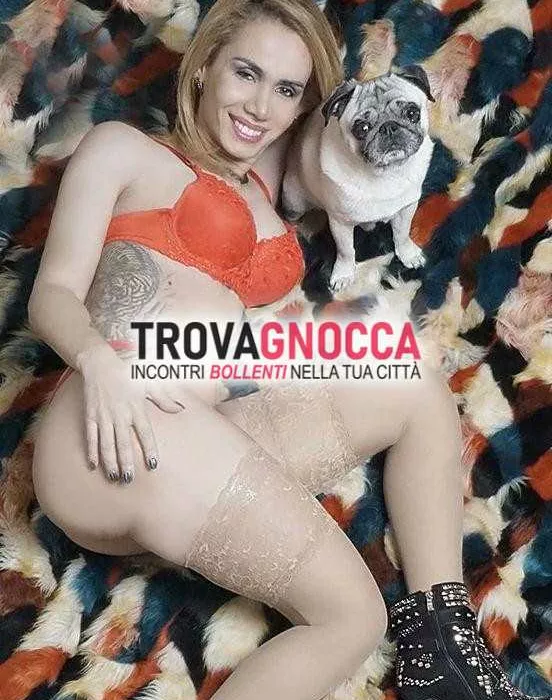 escort.it - 3497605156 - L'Aquila: ✅ l’aquila 🟢gabriela bianchi...