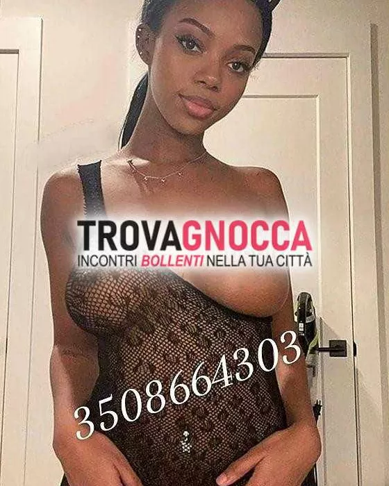 escort.it - 3508664303 - Caltanissetta: 🔥novita ✨🔥🥰❤️appena arrivata...